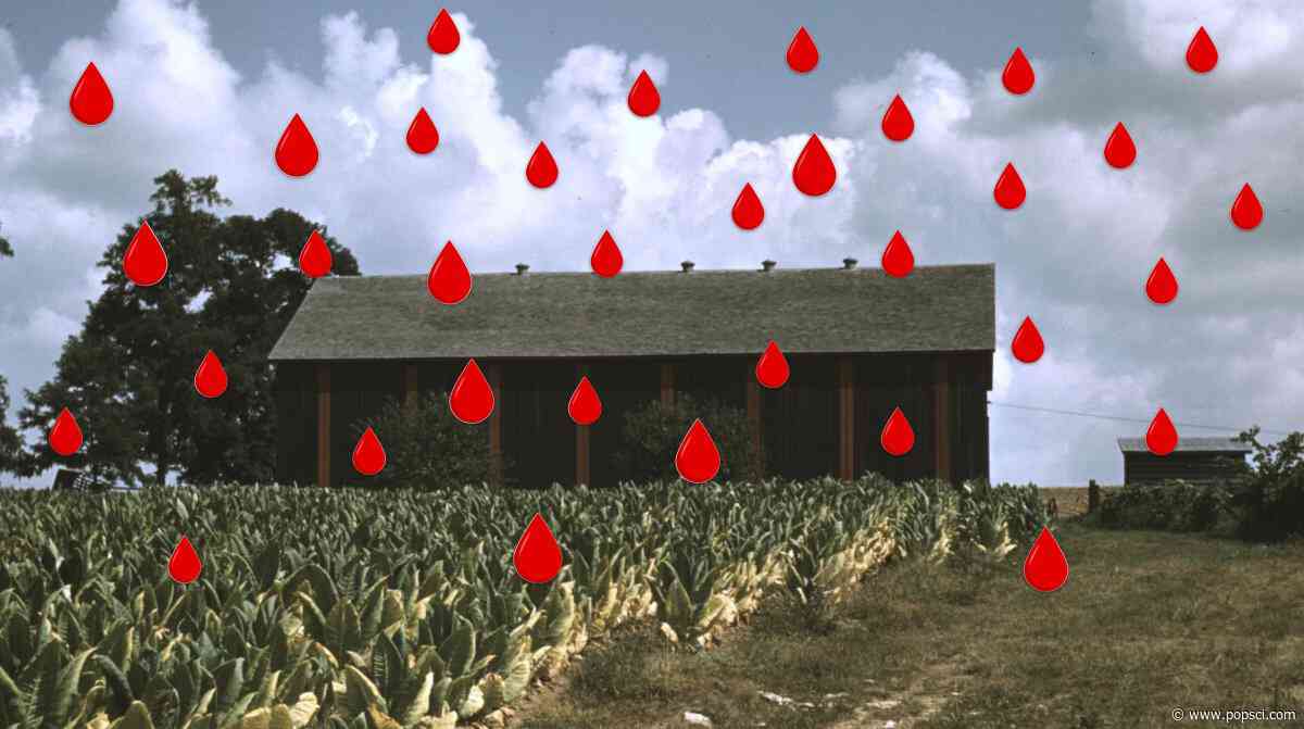 In 1841, flesh and blood rained down in Tennessee