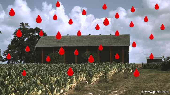 In 1841, flesh and blood rained down in Tennessee