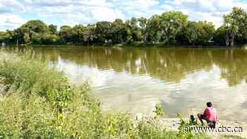 $500M flowing from Ottawa for Winnipeg's North End sewage treatment plant upgrades