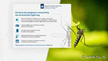 Tienduizenden huishoudens per brief gewaarschuwd voor tijgermug in de buurt