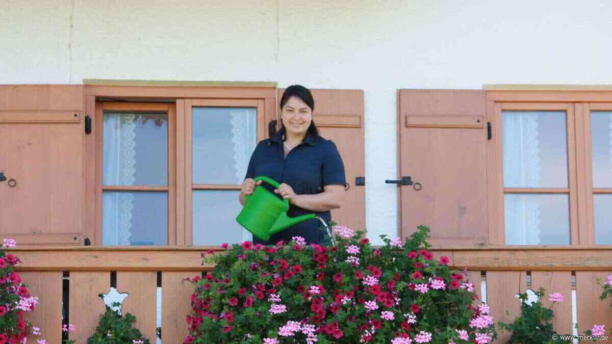 Landfrau in Kochel: Kühe, Ferienwohnungen und eigene Steuerberatung