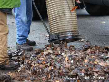 Toledo begins leaf collection efforts