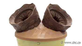 Dune 3 popcorn buckets are even more unhinged than the original