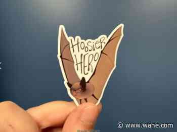 'Tiny Hoosier heroes': New Haven woman pushes Indiana bat for state mammal, bill in the works