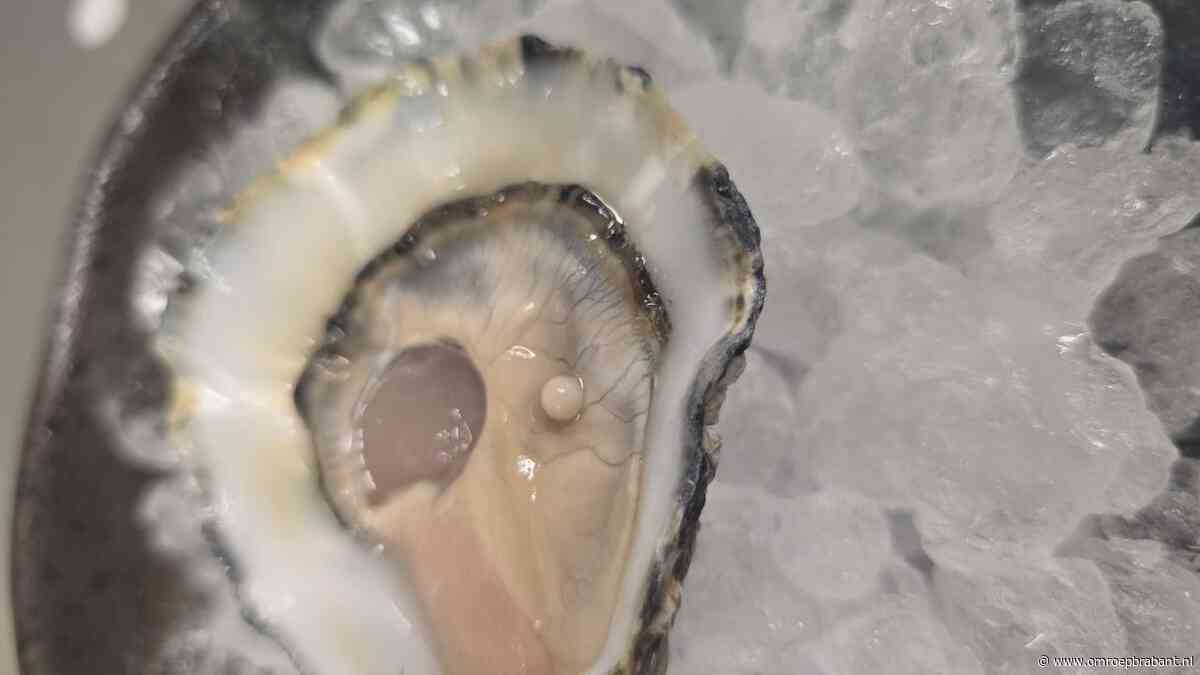 Chef-kok doet opvallende ontdekking bij openen van oester