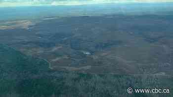 Some training still suspended at Base Gagetown after crews contain wildfire