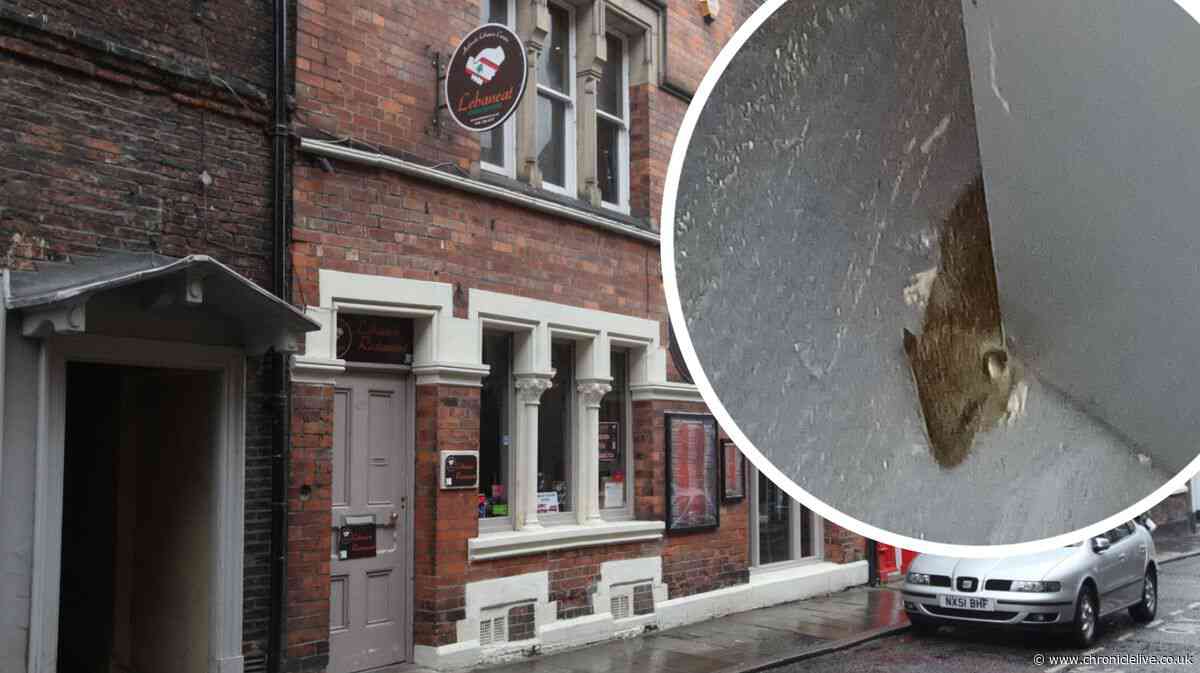 Ex-owner of North East restaurant fined £6,000 after rats found on the premises again