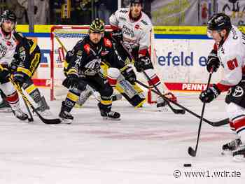 Die Kölner Haie haben das Derby gegen Krefeld gewonnen