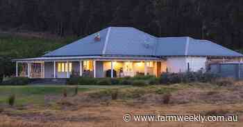 Slow down and be present: the 20-somethings behind Brookhampton Road Farm