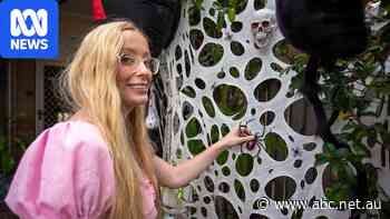 Creator's monster Halloween display proves 'people aren't so scary'