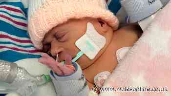 'We prepared for goodbye before hello' - heartache as daughter born with half a heart