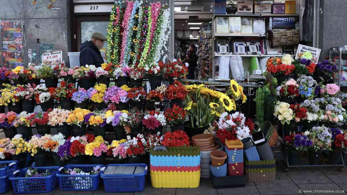 From my nostalgic memories to one of UK's coolest neighbourhoods - There's something special about Heaton