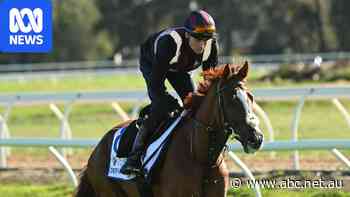 Fancied Melbourne Cup horse Defiantly ruled out by vets