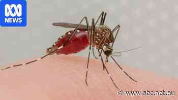 Flesh-eating Buruli ulcer cases are rising. Here's how to protect yourself