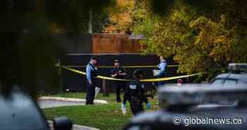 Violent Toronto home invasion was ‘terrifying,’ real estate CEO says as police seek suspects