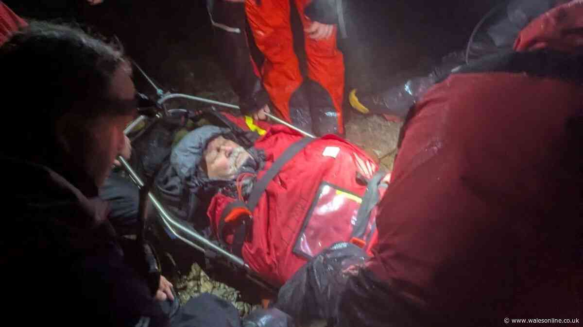 Swansea man climbs Yr Wyddfa aged 87 before having to call mountain rescue