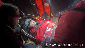 Swansea man climbs Yr Wyddfa aged 87 before having to call mountain rescue