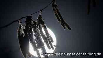 Warum sich manche Menschen lieber gruseln als andere