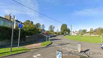 Armed police swoop on man walking around Pembrokeshire village with crossbow and arrows