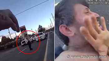 Seattle cop suspended over video of him repeatedly punching shirtless suspect in the head