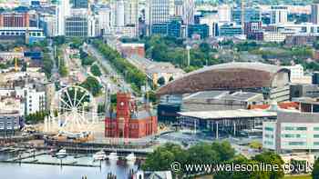 Where to eat, drink and stay when visiting Cardiff for the Autumn Internationals
