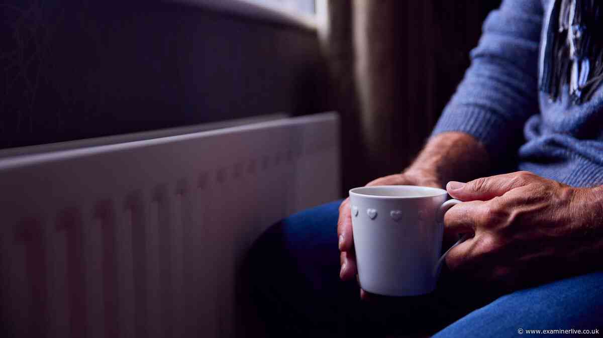 British Gas grants up to £2,000, Octopus free electric blankets and EDF 'winter warmer' explained