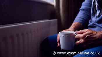 British Gas grants up to £2,000, Octopus free electric blankets and EDF 'winter warmer' explained