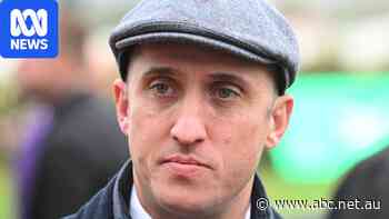 Horses pulled from Derby Day after trainer allegedly has syringes in car