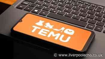 How to save money on Temu orders using little-known price trick - 'it's free money'