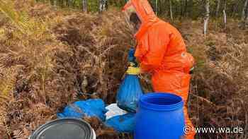 „Ekelerregende Funde“: 400 Kilo Schlachtabfälle im Naturschutzgebiet entsorgt