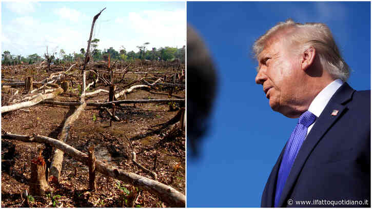 Crimini contro l’ambiente, svolta storica dei Paesi Onu: via libera al trattato internazionale (col voto contrario Usa). L’esperta: “Sono reati di serie A”