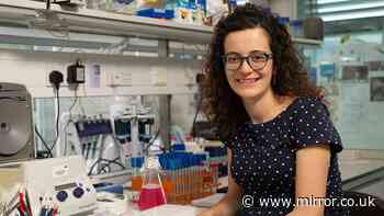 Top Cambridge University scientist missing after Spain train crash with family 'clinging onto final hope'