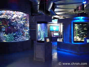 Houston's Downtown Aquarium named No. 2 worst tourist trap in US