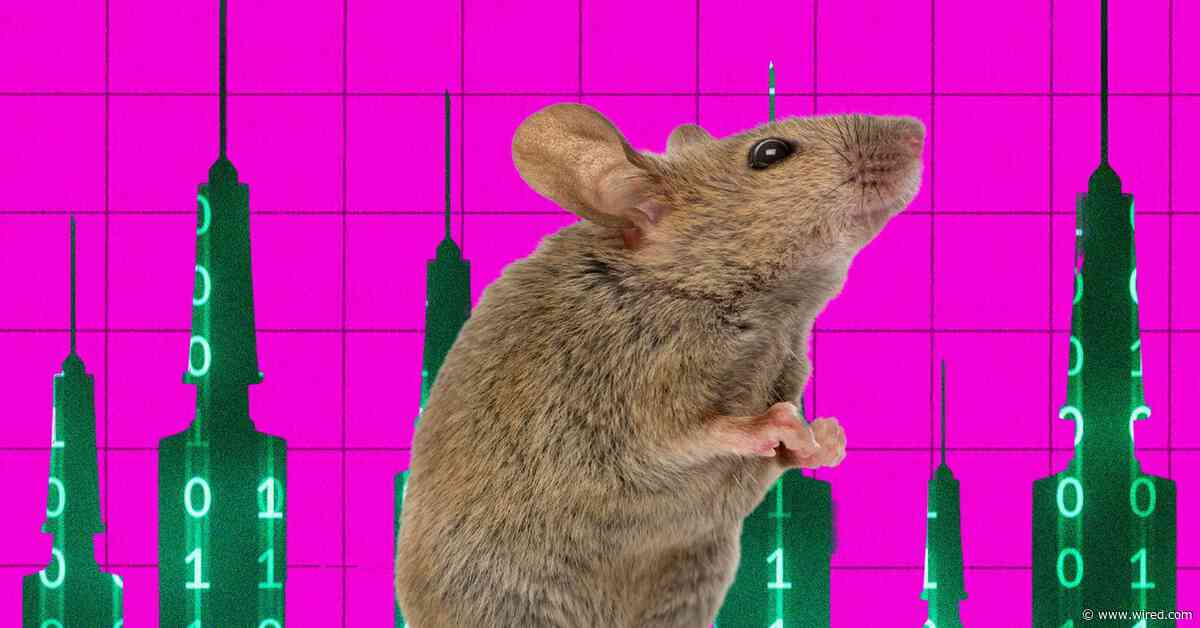 An AI Agent Injected Drugs Into a Live Mouse’s Brain