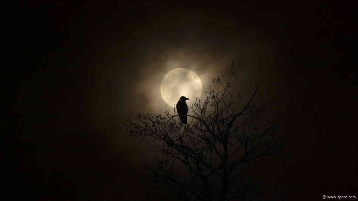 Halloween night sky 2026 — Saturn, shooting stars and a space station await US stargazers