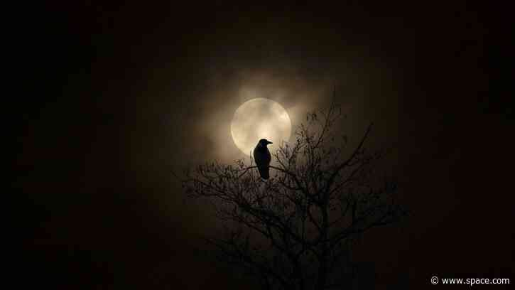 Halloween night sky 2026 — Saturn, shooting stars and a space station await US stargazers
