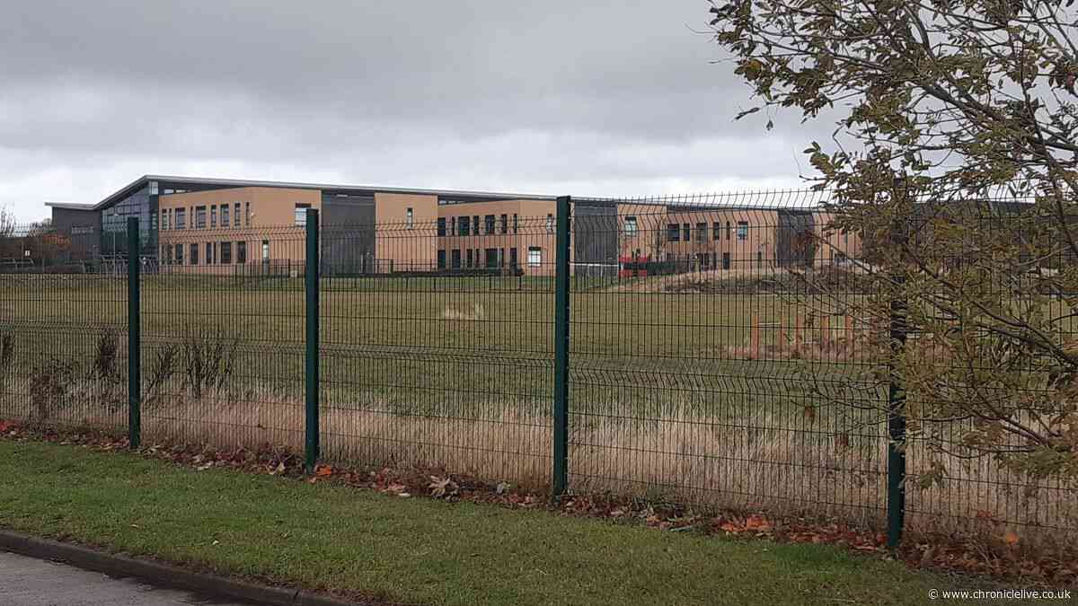 Council approves cricket and rugby facilities at South Shields school