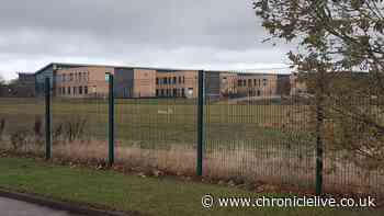 Council approves cricket and rugby facilities at South Shields school