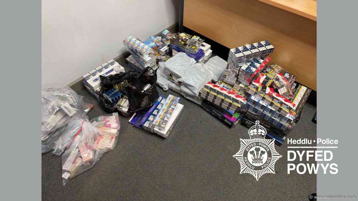 Police and immigration officers swoop on businesses across Carmarthenshire