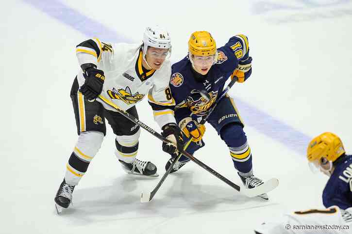 Sarnia Sting lose 4-3 to Erie Otters