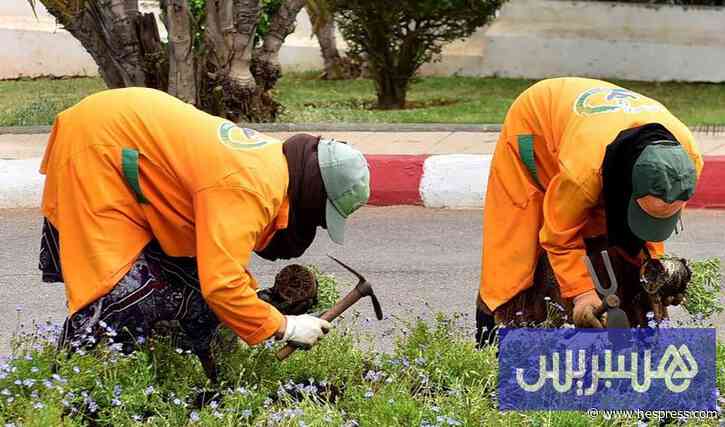 وزارة الداخلية تستنفر الجماعات الترابية لتسوية ملفات التقاعد العالقة