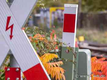 Mini-Schranke in Köln wird zu Selfie-Attraktion