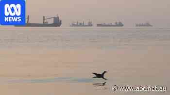 'Supertanker' strikes mine in Hormuz, losing two million barrels of oil