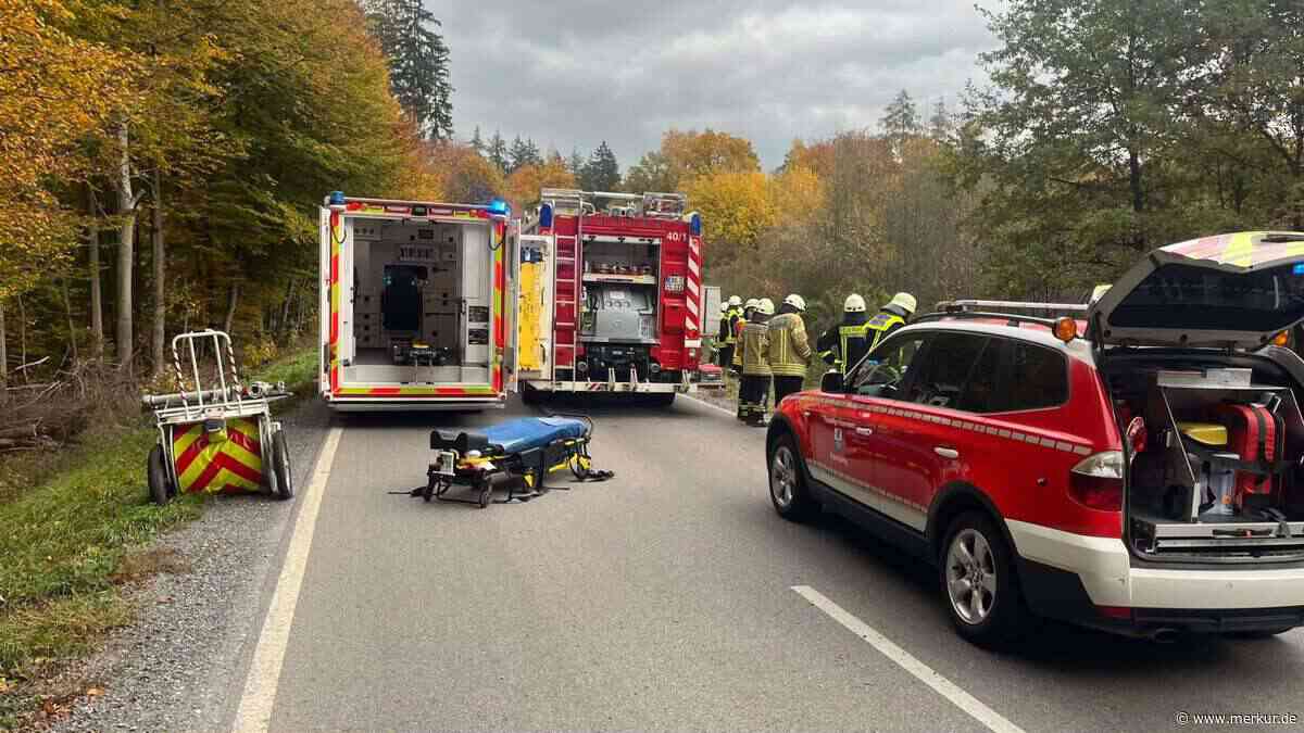 Pkw kommt bei Schützen von Fahrbahn ab und schleudert in eine Baumgruppe