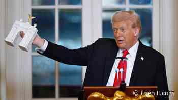 DC, Virginia sue to block Trump's triumphal arch