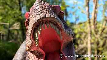 Popular South West tourist attraction at risk of imminent closure