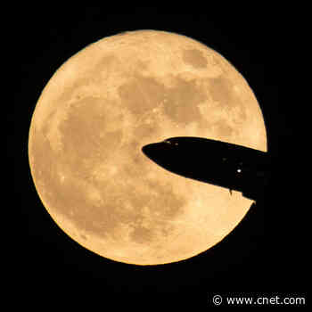November 2026 Skywatching Guide: Meteors, Planets, Stars and a Full Moon