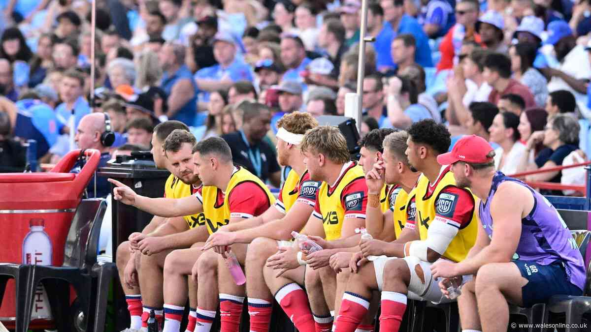 Scarlets player ratings as lively cameo shows why Wales coaches are watching