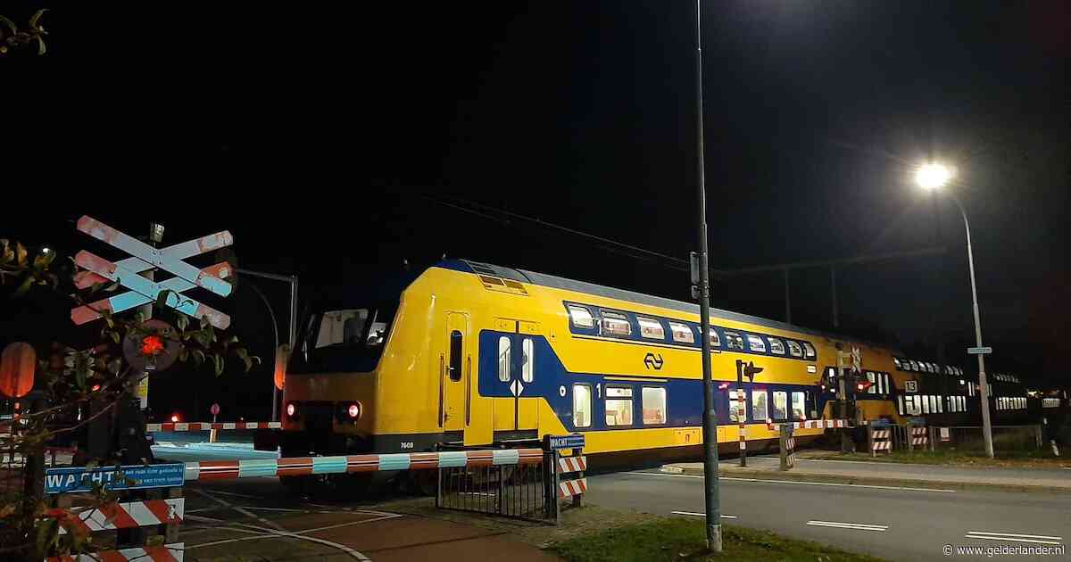 Trein met passagiers stil op spoor in Wijchen door geknapte bovenleiding: ‘We dachten aan vuurwerk’